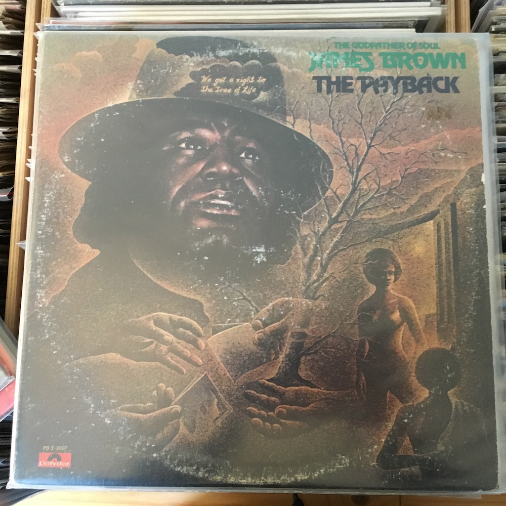 Welcome To The Official Website Of Susanne Alt Weblog Vinyl Wednesday James Brown The Payback 